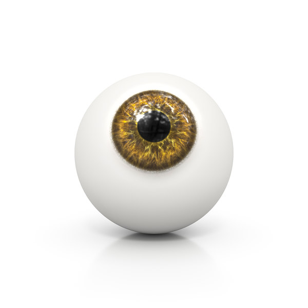 Free Blender Eye Models TurboSquid