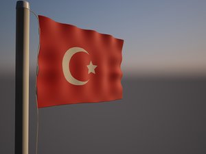 3D turkey flag