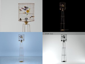 3D la voliere bird model