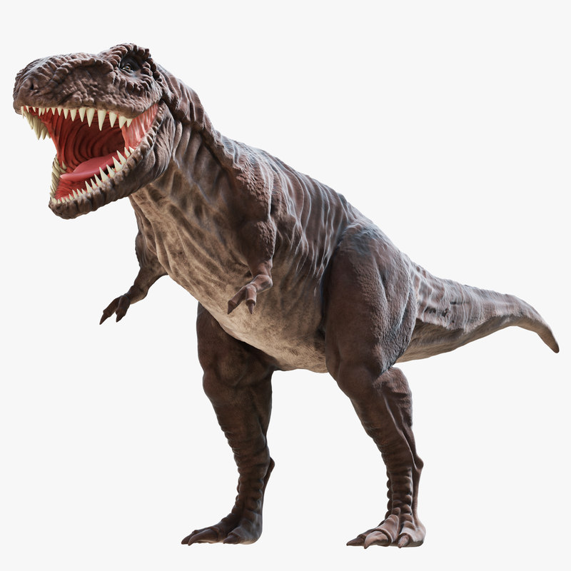 tyrannosaurus rex 3d