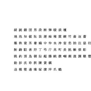 chinese ms mincho font 3D