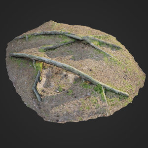 3D scanned nature forest roots