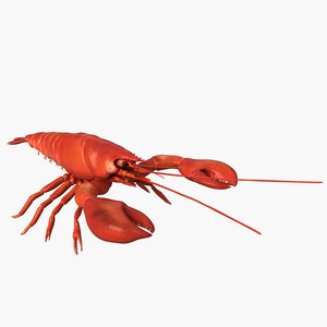 3D model lobster animation