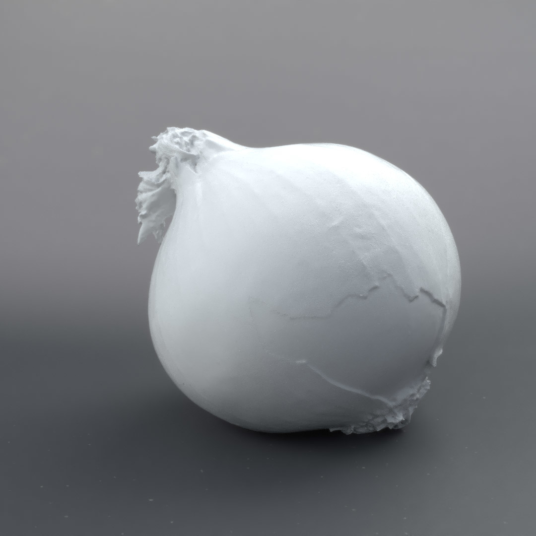 洋葱3d模型