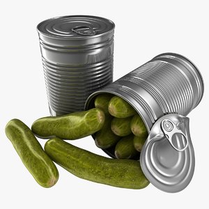 3D realistic canned cucumbers model