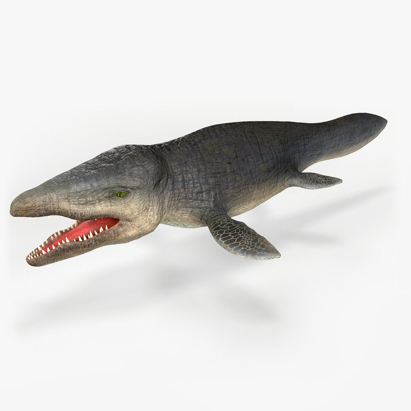 3D mosasaurus prehistorik fossil - TurboSquid 1191696