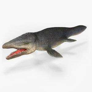 3D mosasaurus prehistorik fossil