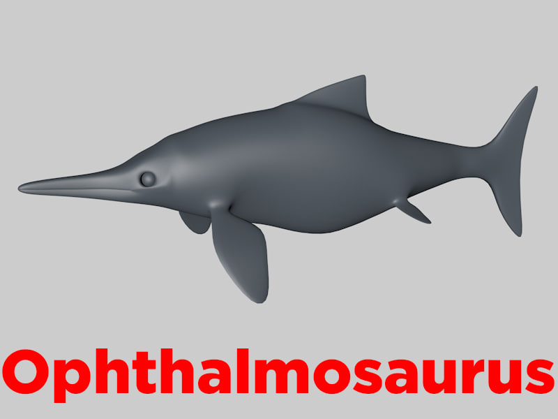 3D Model Ophthalmosaurus Base - TurboSquid 1191966