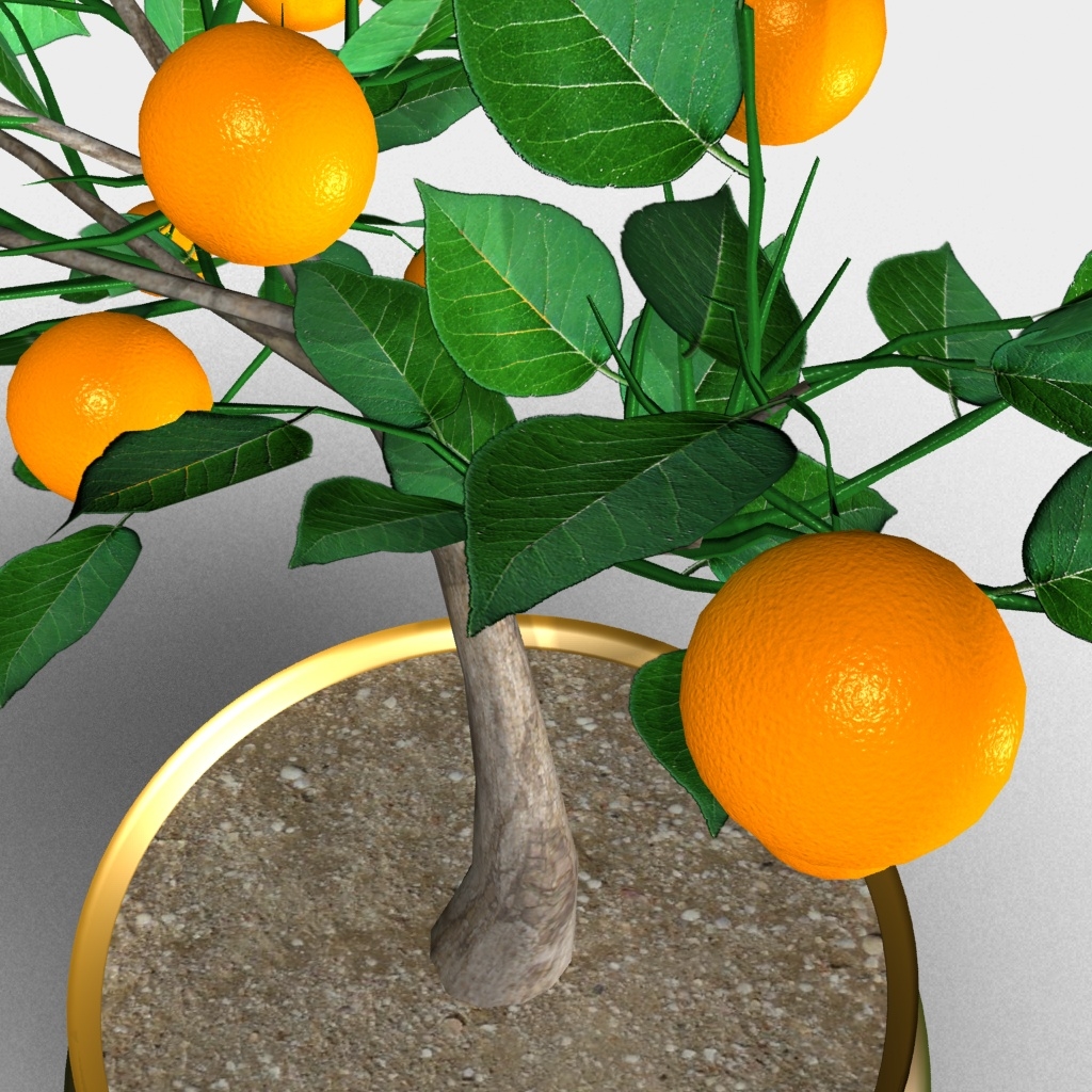 3D orange tree bonsai model TurboSquid 1192112