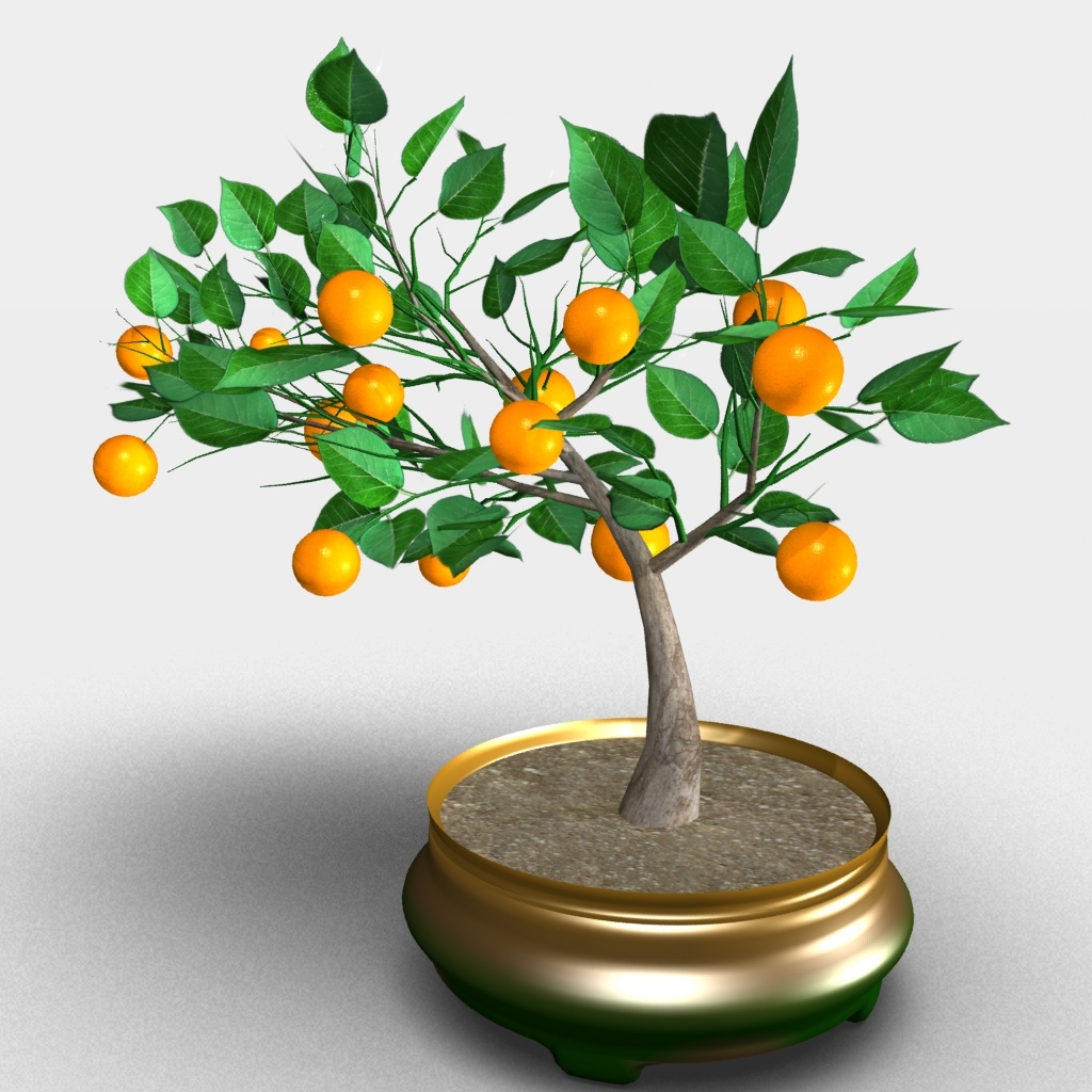 3D orange tree bonsai model TurboSquid 1192112