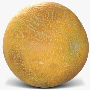 3D melon 3