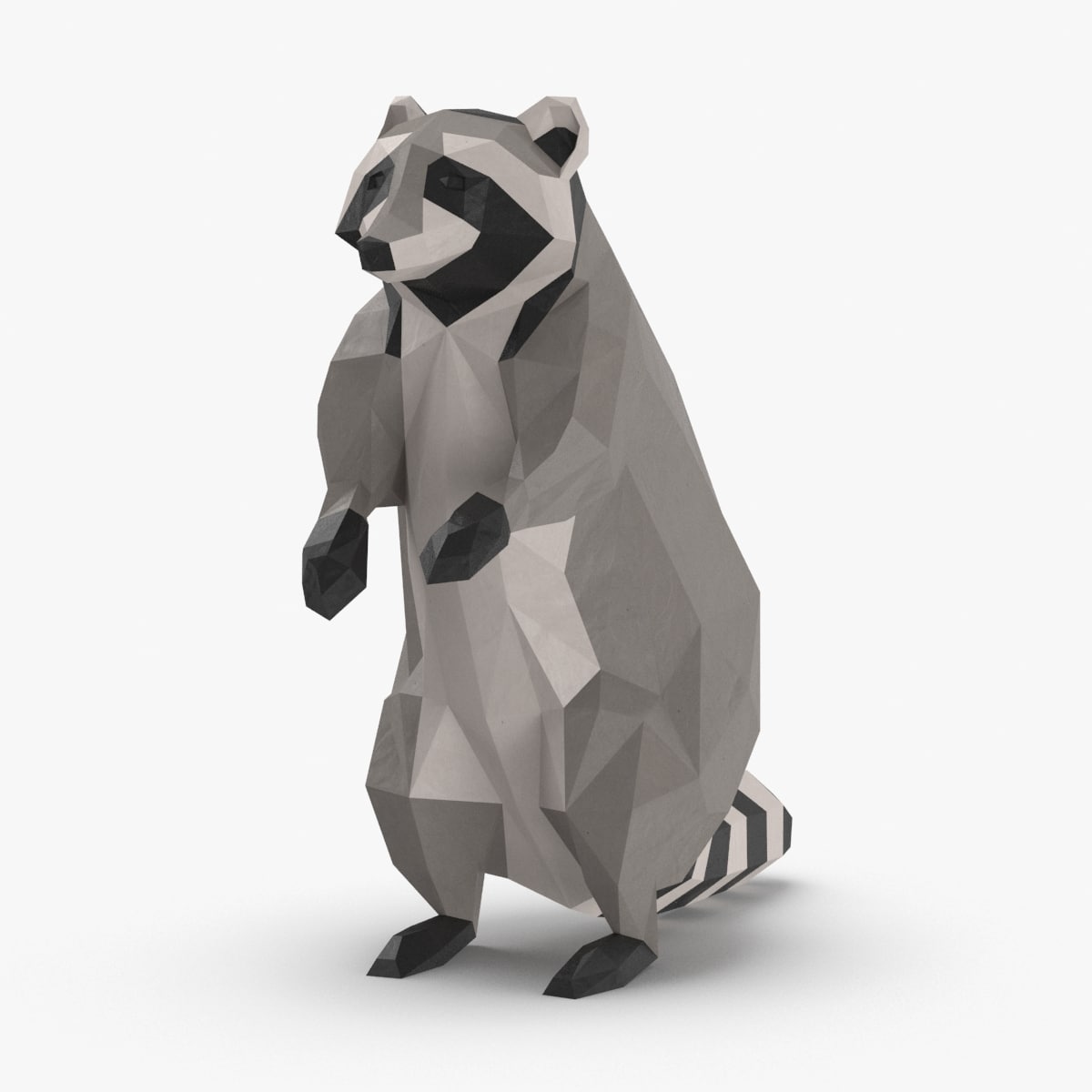 Raccoon---upright 3D model - TurboSquid 1192602
