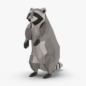 raccoon---upright 3D model