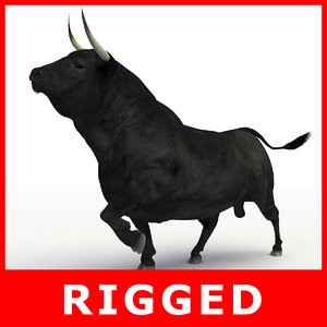bull rigged 3D model