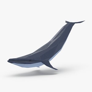 3D blue-whale---downward