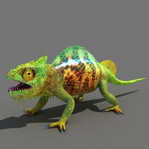 chameleon lizard animal 3D model