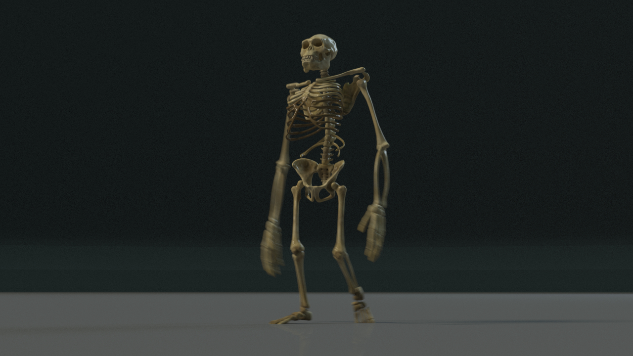 Free 3D model kong skeleton TurboSquid 1192846
