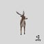 stag---standing 3D model