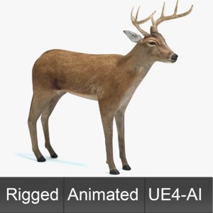 deer animations model