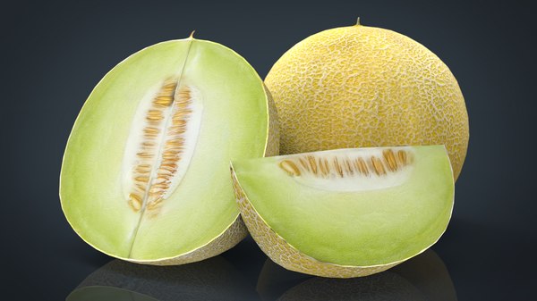 galia melon