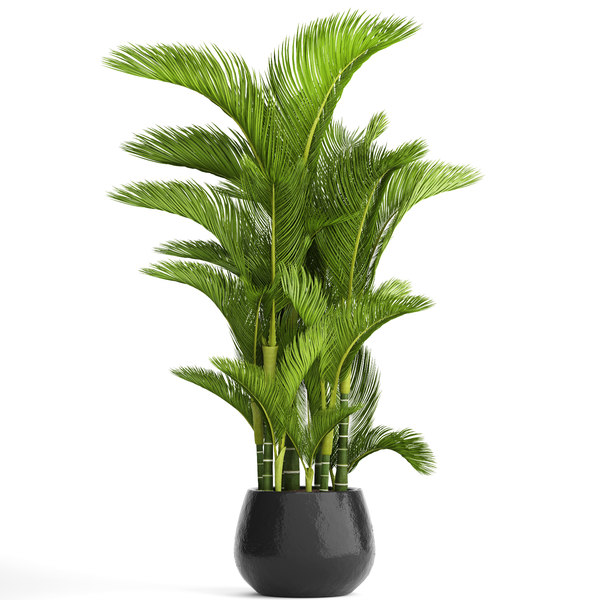 This is a photo of a fake product