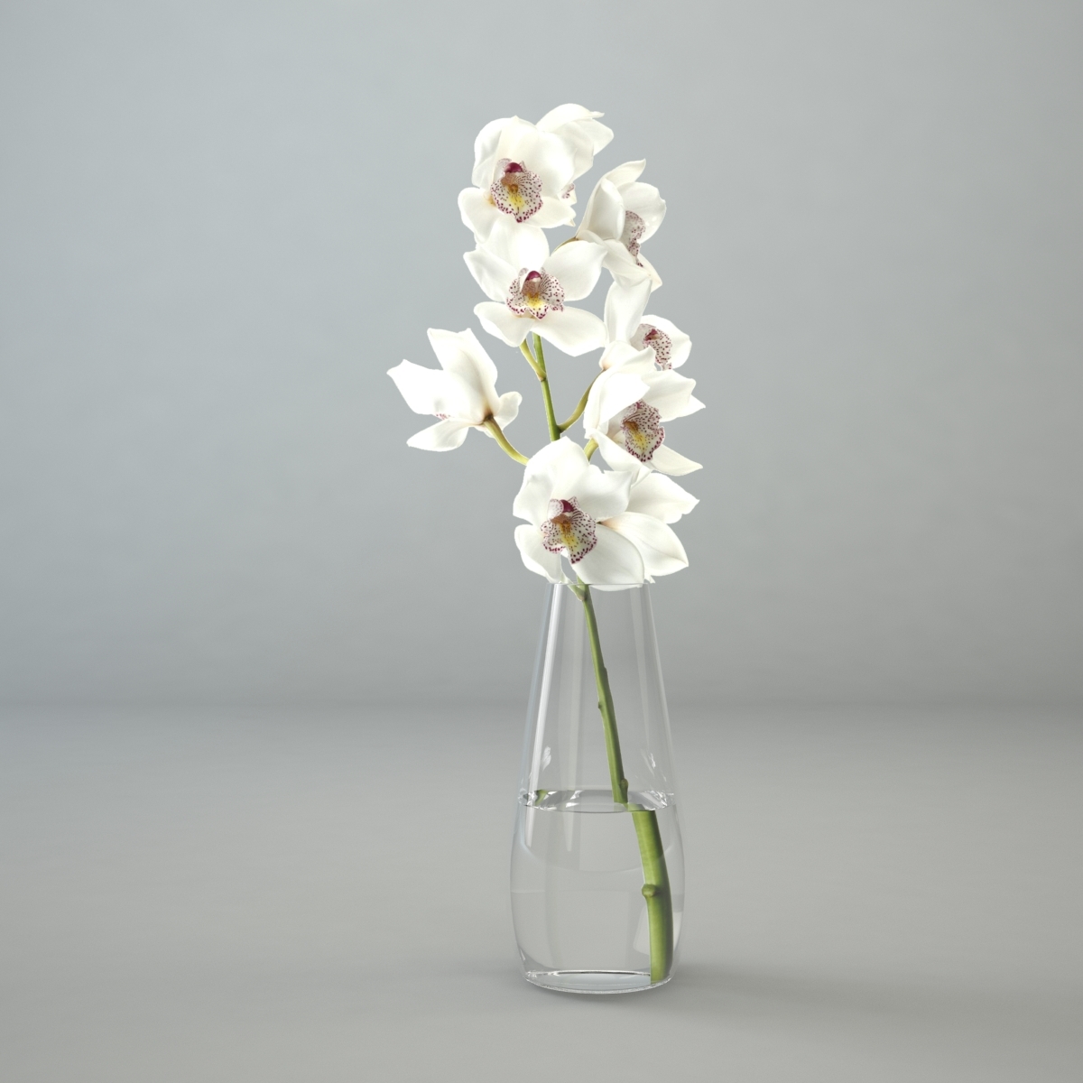 3d Model Orchid Glass Vase Turbosquid 1193707