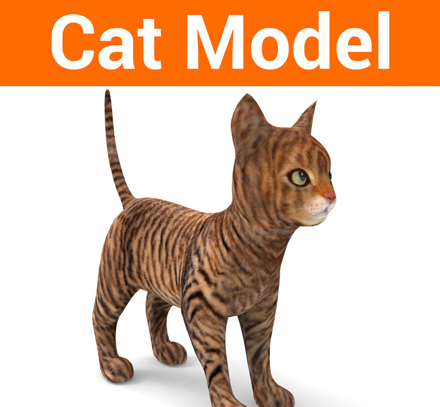 3D Cute Cat - Turbosquid 1193788