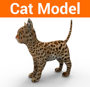 cute cat 3D model