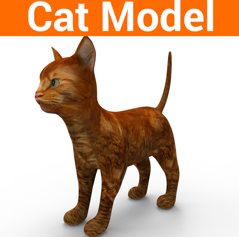 Cute cat 3D model - TurboSquid 1193834