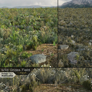 real-time wild grass field 3D model