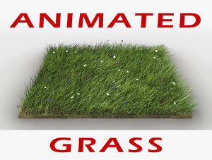 field grass flowers animation model