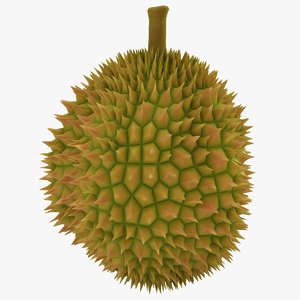 3D durian scanline