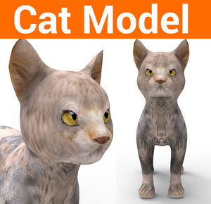 cute cat 3D model