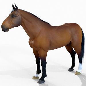 horse fur 3D model
