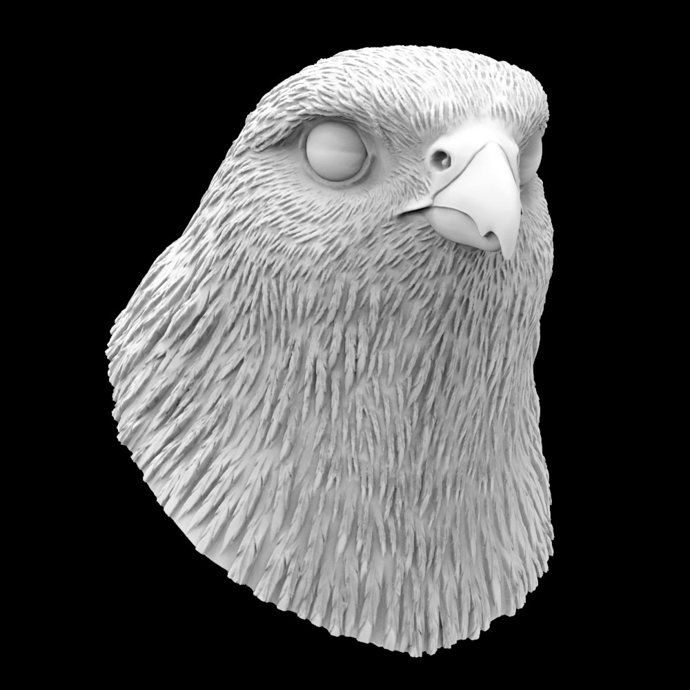 3d Falcon Turbosquid 1194526