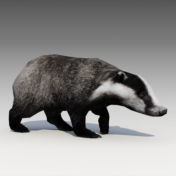 d&d badger mini