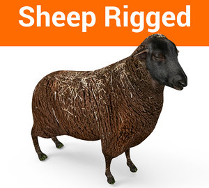 rigged black sheep 3D model