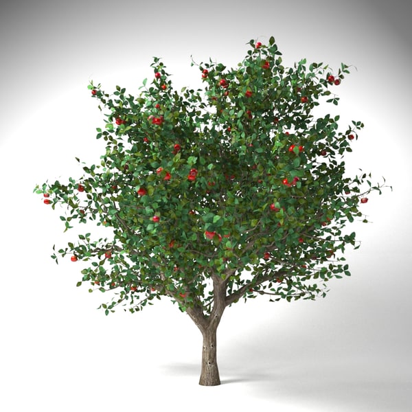 Apfelbaum Apple Tree 1801 Britains Tree Models