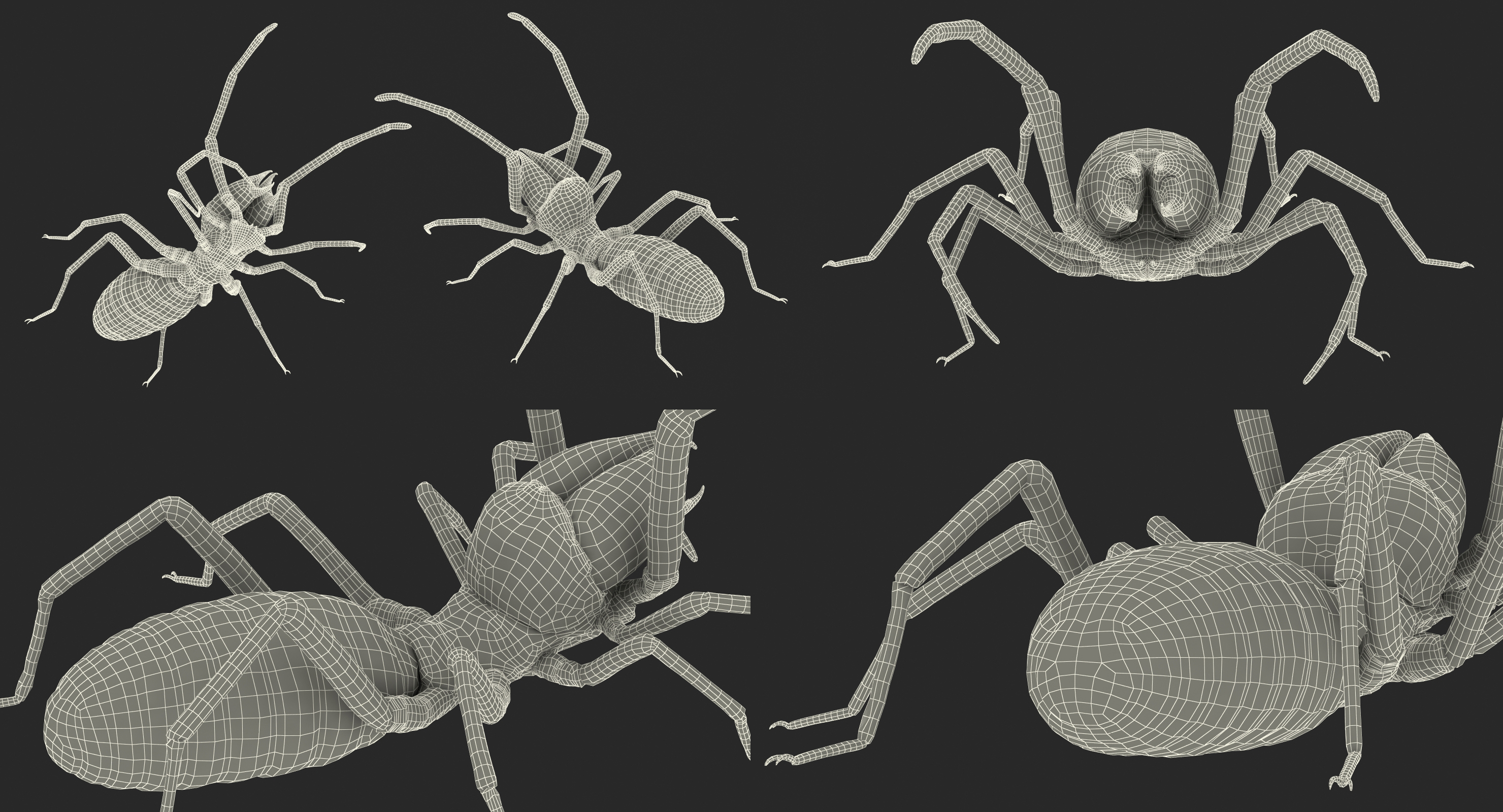 3d wind scorpion spider with fur