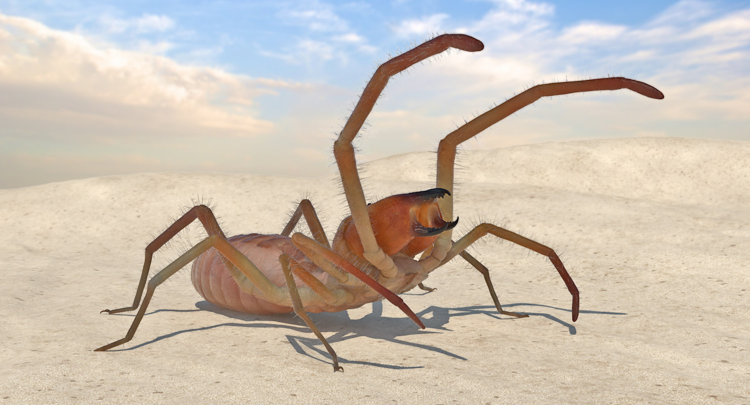 3d wind scorpion spider with fur