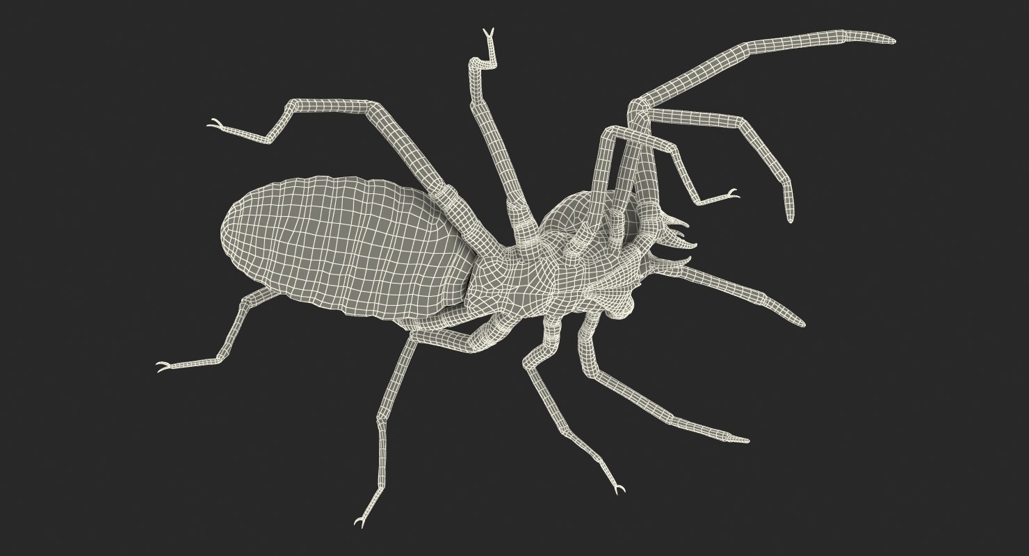 3d wind scorpion spider with fur