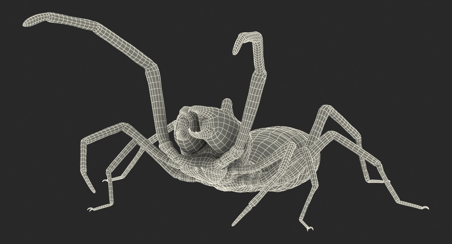 3d wind scorpion spider with fur
