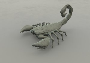 scorpion 3D model