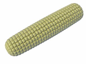 corn 3D