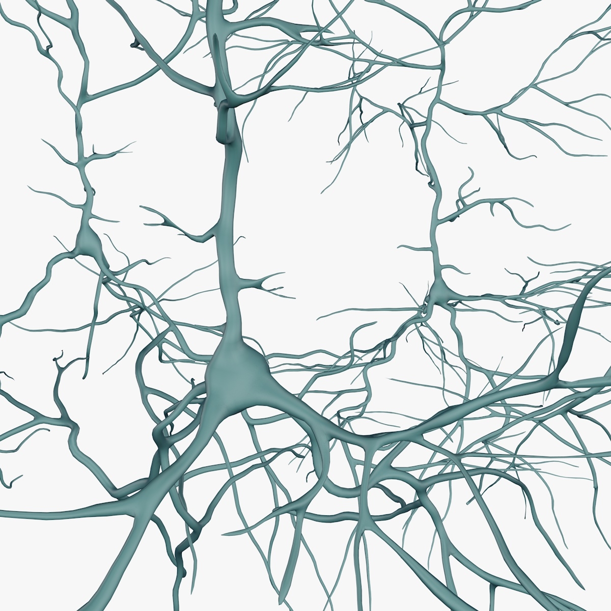 Pyramidal neurons model - TurboSquid 1196142