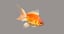 3D gold fish