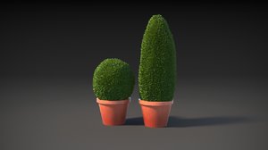 3D bush model