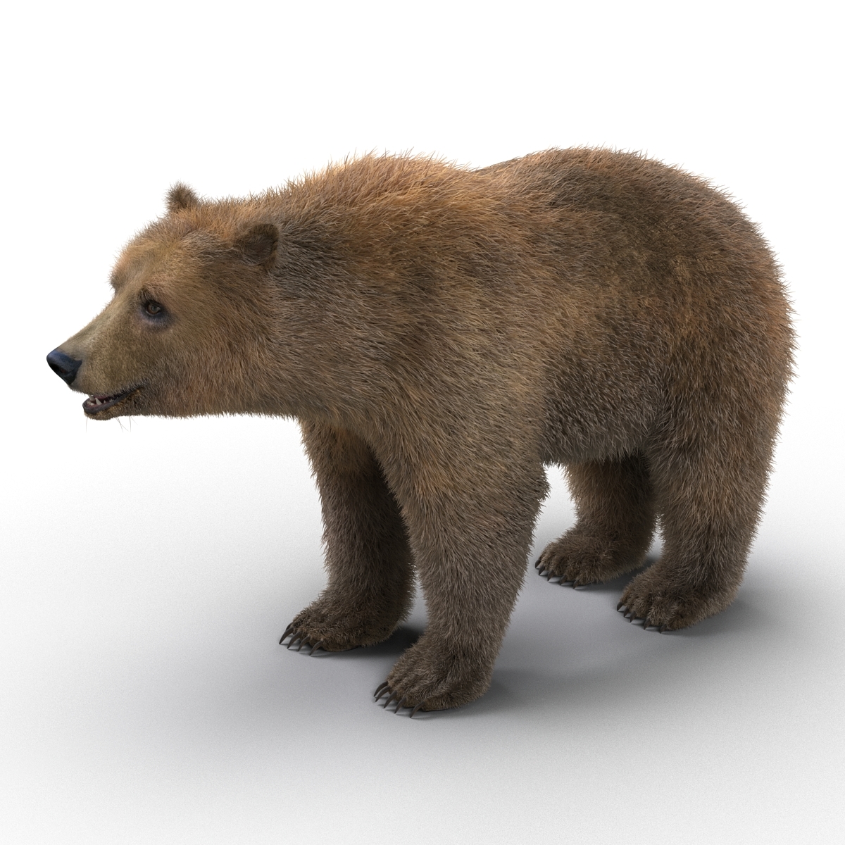 Bear elk rigged 3D model TurboSquid 1196836