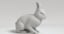 3D rabbit animations