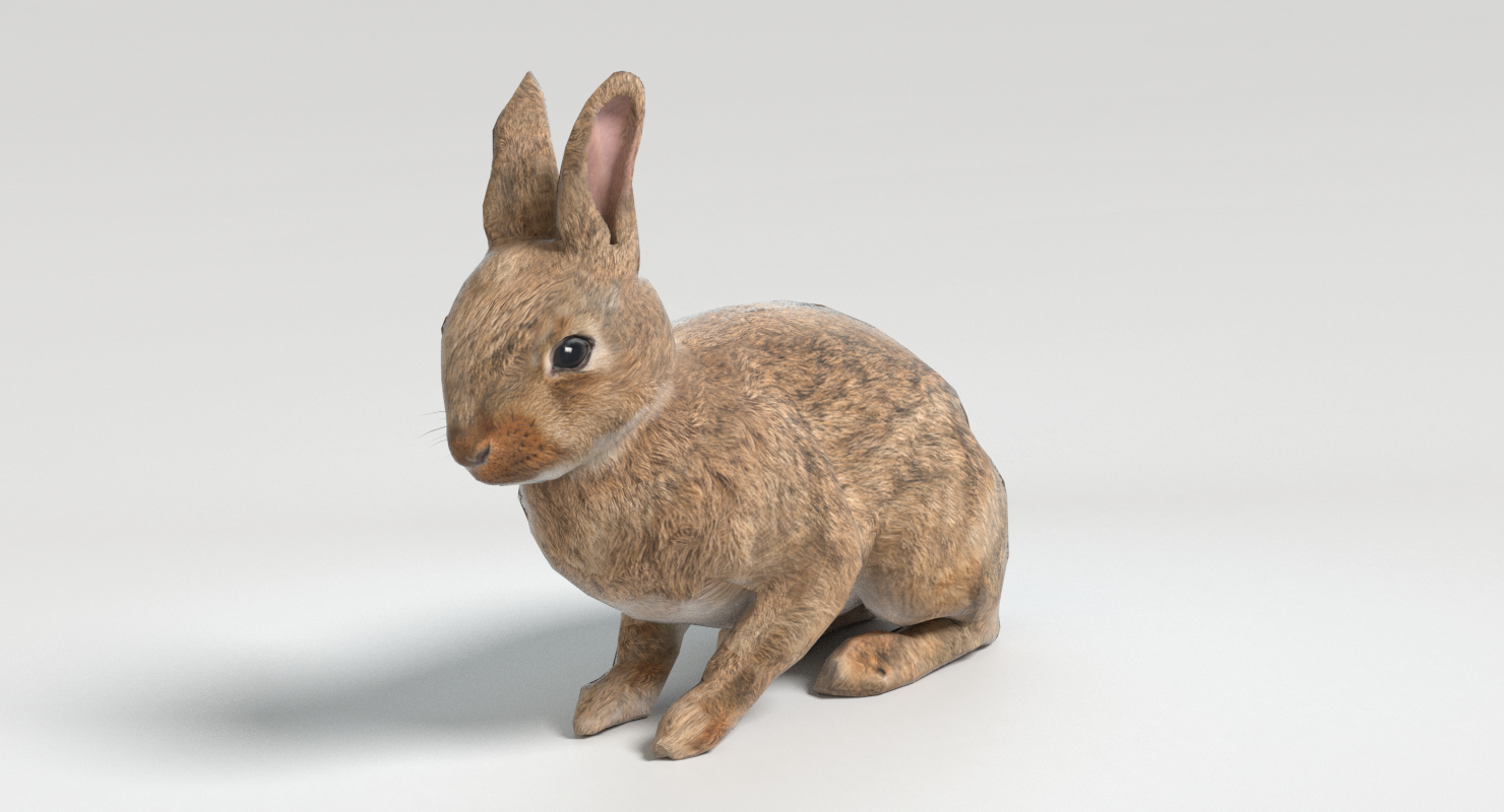 动画游戏兔子3d模型